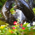 2012 08-Victoria BC Butchart Gardens Fountain